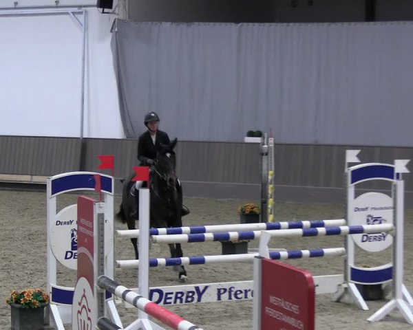 Reitturnier Münster-Handorf 2023
