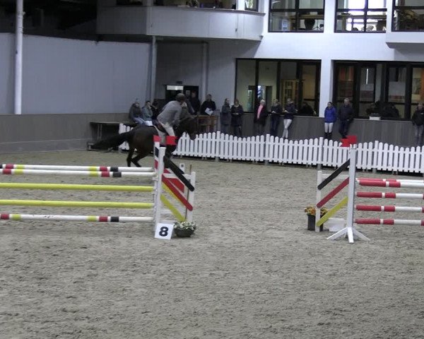 Reitturnier Münster-Handorf 2023