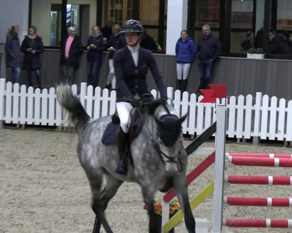 Reitturnier Münster-Handorf 2023