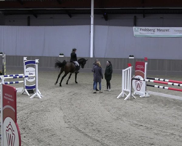 Reitturnier Münster-Handorf 2023