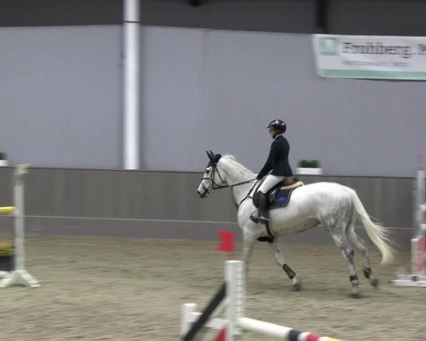 Reitturnier Münster-Handorf 2023
