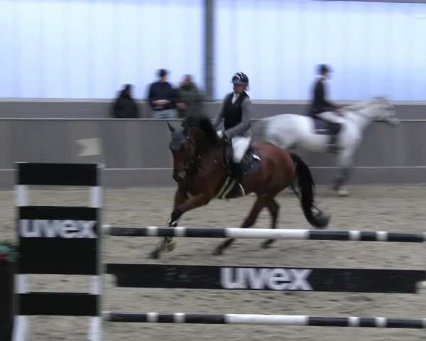 Reitturnier Münster-Handorf 2023