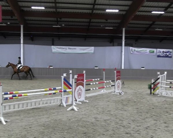 Reitturnier Münster-Handorf 2023