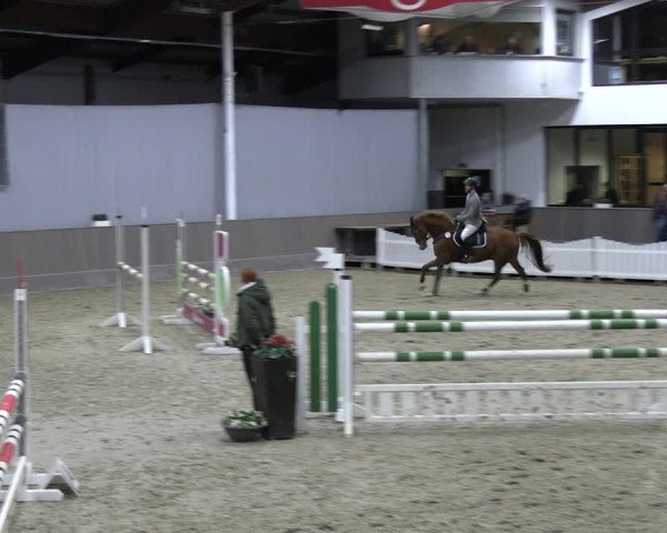 Reitturnier Münster-Handorf 2023