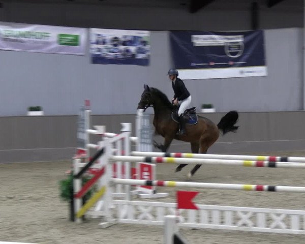 Reitturnier Münster-Handorf 2023
