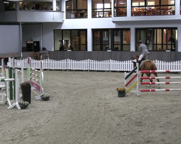 Reitturnier Münster-Handorf 2023