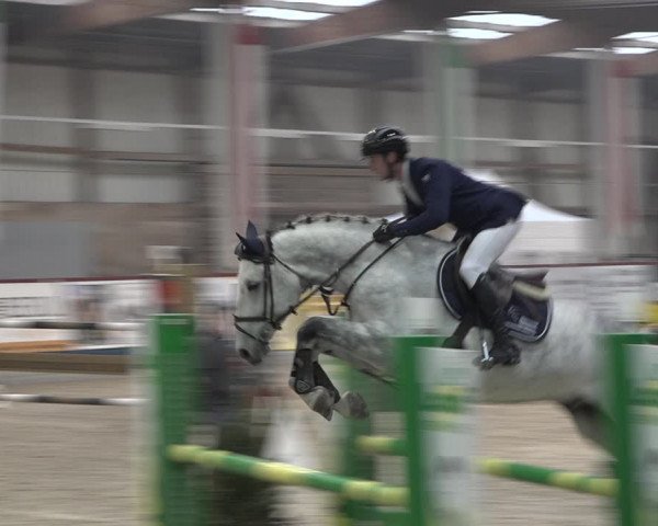 Reitturnier Oberriet 2023