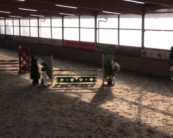 Reitturnier Heek-Nienborg 2023