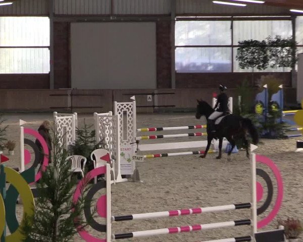 Reitturnier Heek-Nienborg 2023