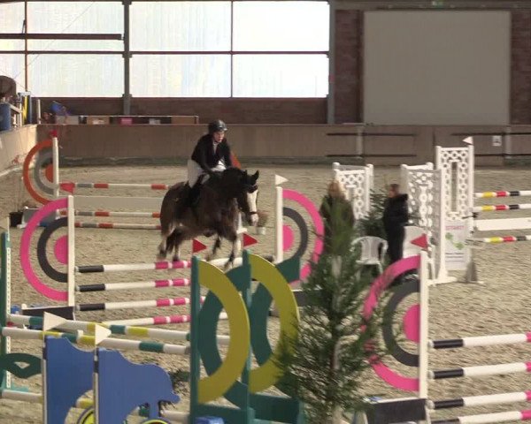 Reitturnier Heek-Nienborg 2023