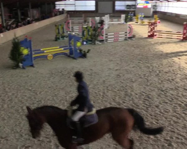 Reitturnier Heek-Nienborg 2023