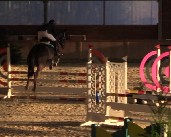 Reitturnier Heek-Nienborg 2023