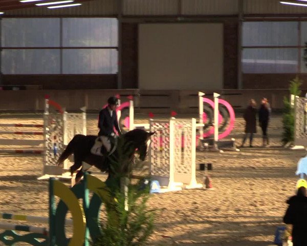 Reitturnier Heek-Nienborg 2023