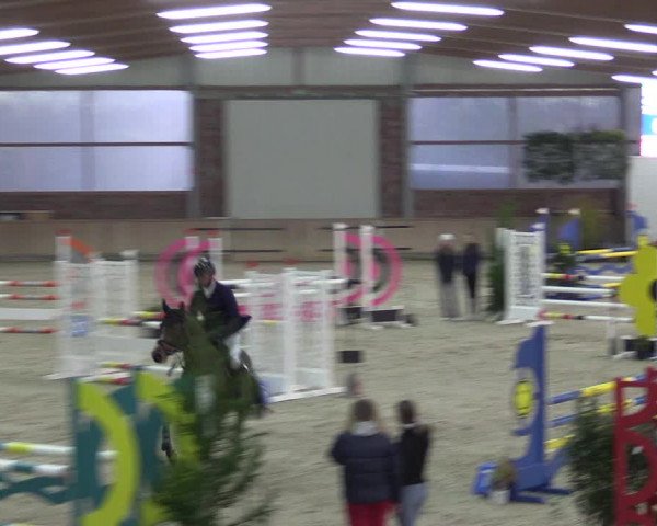 Reitturnier Heek-Nienborg 2023