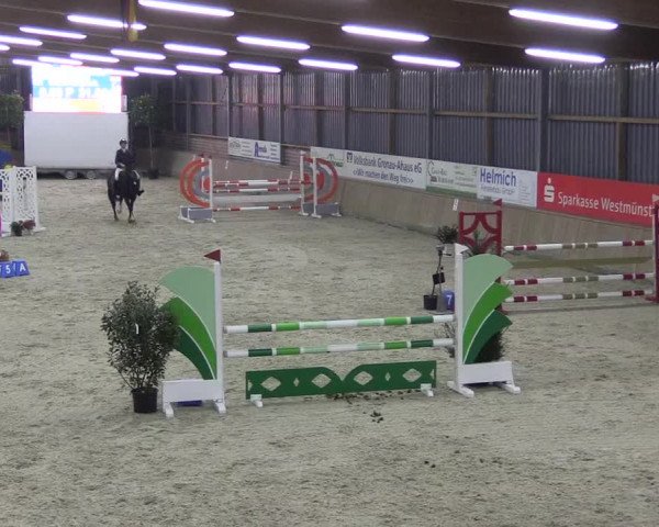 Reitturnier Heek-Nienborg 2023