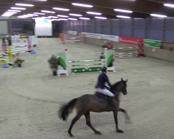 Reitturnier Heek-Nienborg 2023