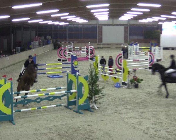 Reitturnier Heek-Nienborg 2023