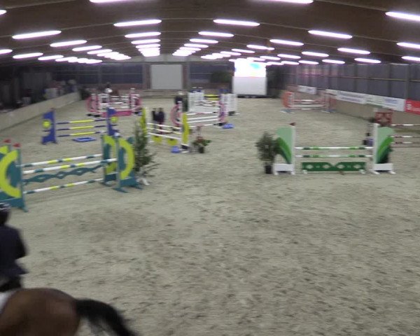 Reitturnier Heek-Nienborg 2023