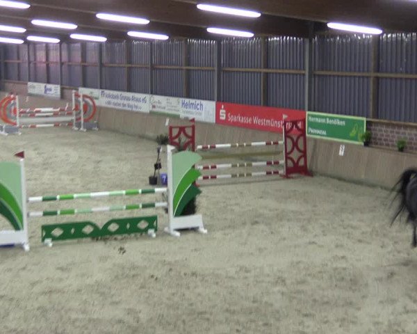 Reitturnier Heek-Nienborg 2023
