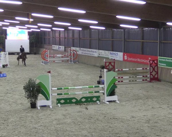 Reitturnier Heek-Nienborg 2023