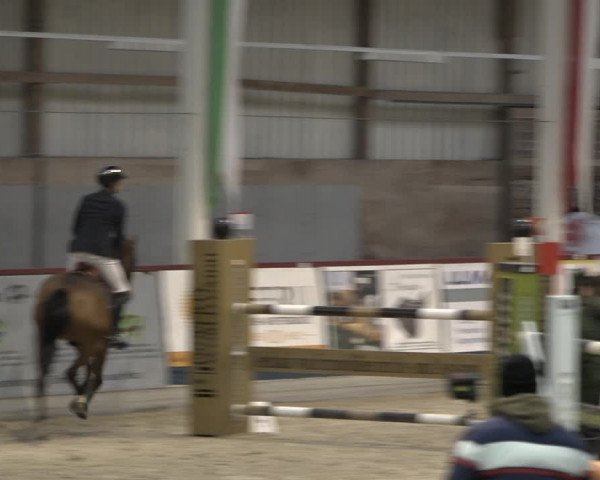 Reitturnier Oberriet 2023