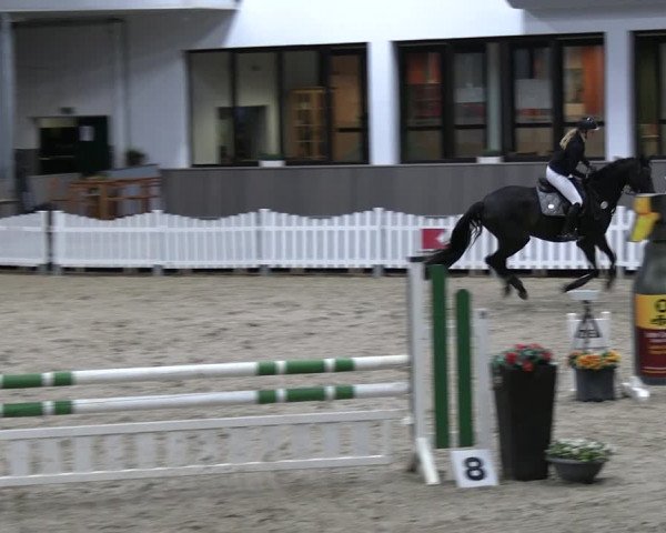 Reitturnier Münster-Handorf 2023