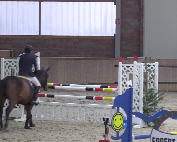 Reitturnier Heek-Nienborg 2023