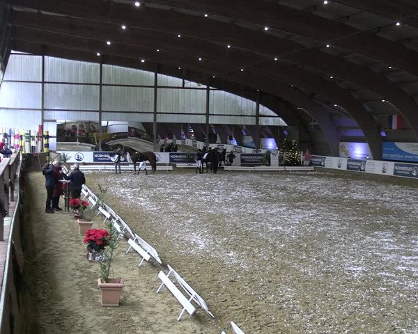 Reitturnier Essen-Stadtwald 2023