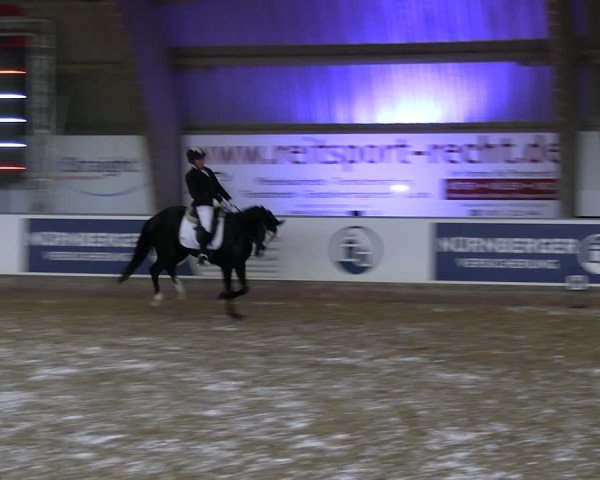 Reitturnier Essen-Stadtwald 2023