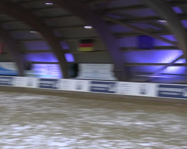 Reitturnier Essen-Stadtwald 2023