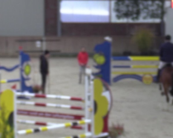 Reitturnier Heek-Nienborg 2023