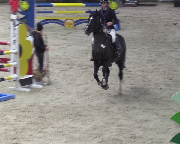 Reitturnier Heek-Nienborg 2023