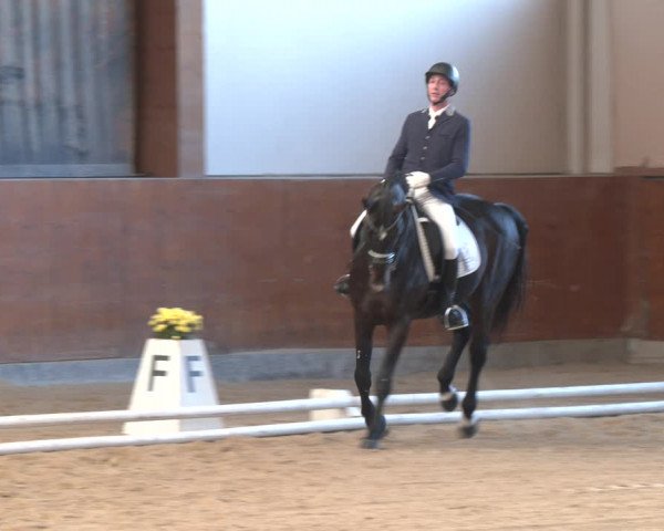 Reitturnier Weikersdorf am Steinfelde 2023