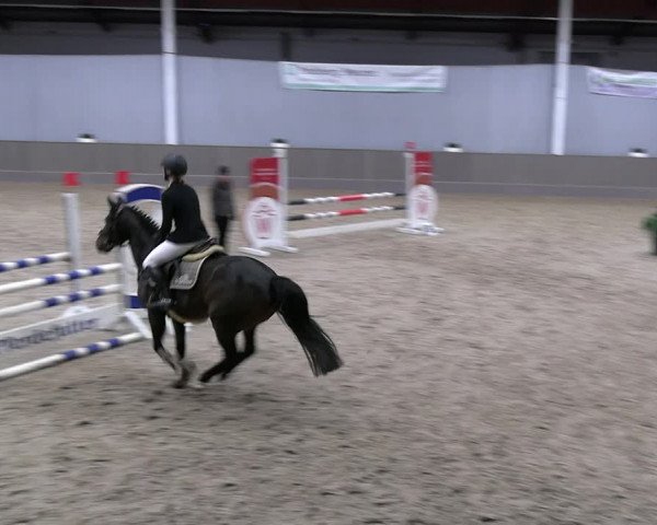 Reitturnier Münster-Handorf 2023