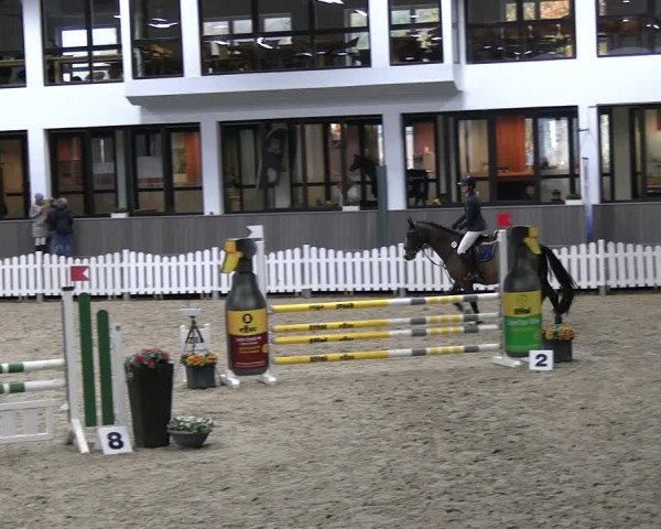 Reitturnier Münster-Handorf 2023