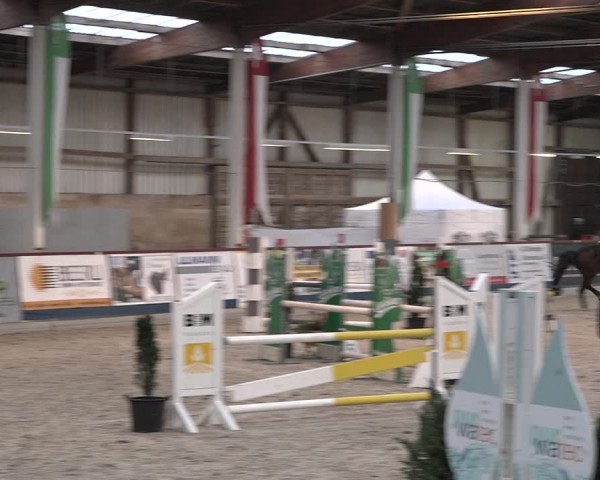 Reitturnier Oberriet 2023