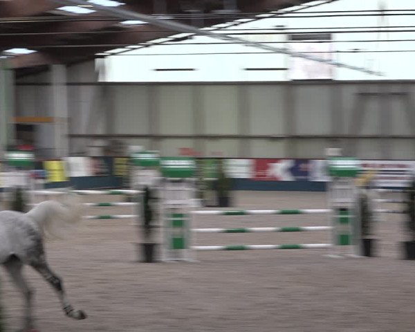 Reitturnier Oberriet 2023