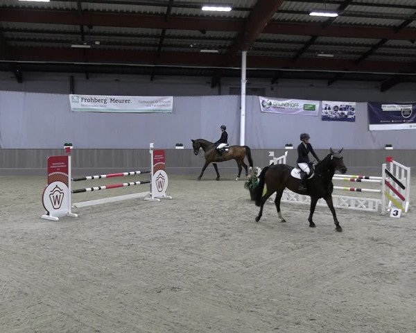 Reitturnier Münster-Handorf 2023