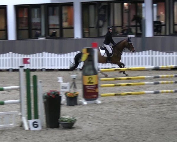 Reitturnier Münster-Handorf 2023
