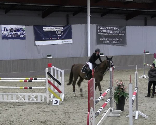 Reitturnier Münster-Handorf 2023