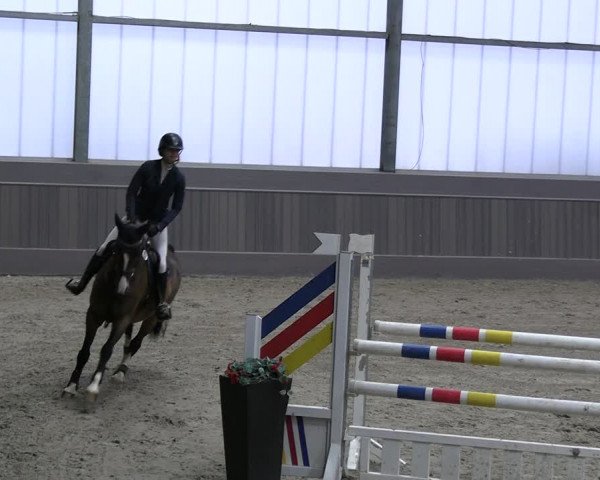 Reitturnier Münster-Handorf 2023