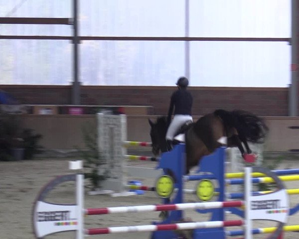 Reitturnier Heek-Nienborg 2023