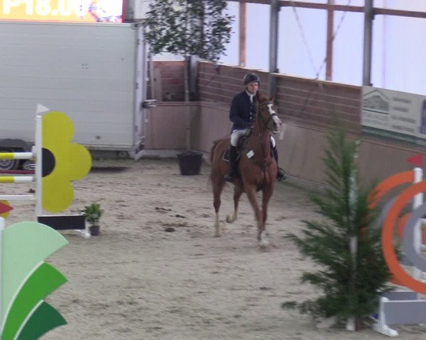 Reitturnier Heek-Nienborg 2023