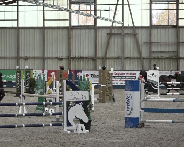 Reitturnier Oberriet 2023