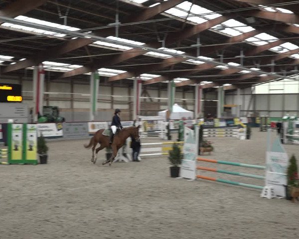 Reitturnier Oberriet 2023