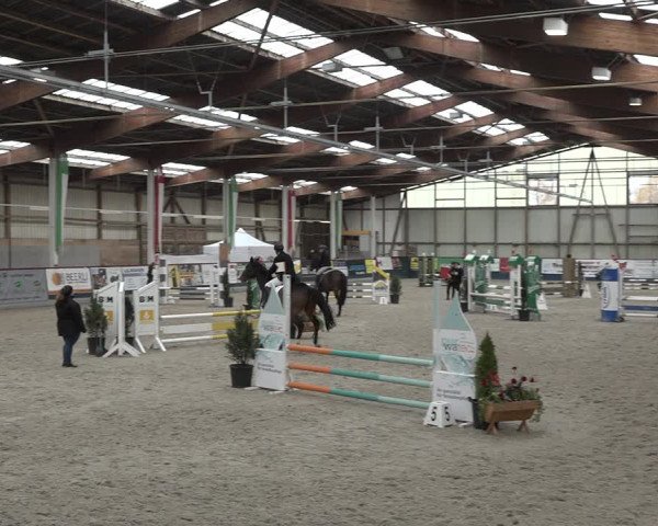 Reitturnier Oberriet 2023