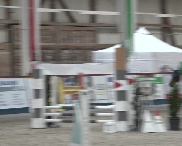 Reitturnier Oberriet 2023