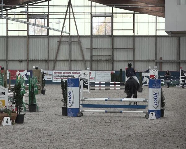 Reitturnier Oberriet 2023