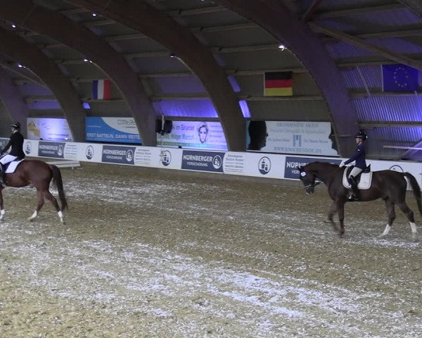 Reitturnier Essen-Stadtwald 2023