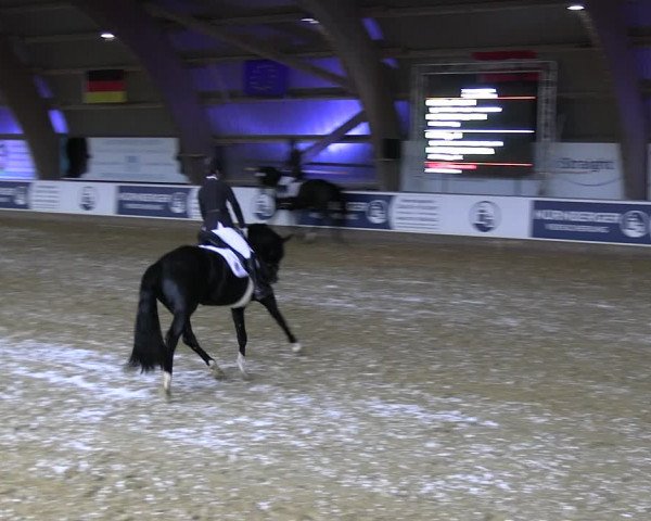 Reitturnier Essen-Stadtwald 2023